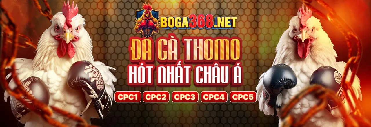Sân vận động lớn với màn hình cá cược thể thao trực tiếp từ betvnd code
